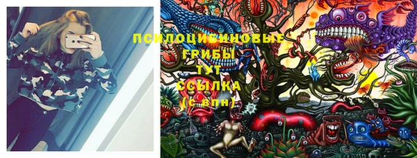 хмурый Алексеевка