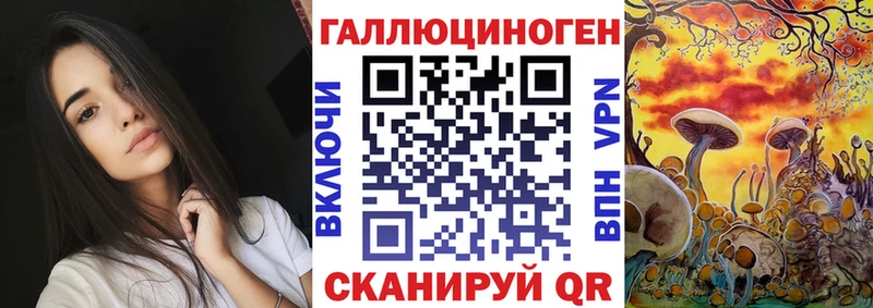 Галлюциногенные грибы Psilocybine cubensis  Биробиджан 